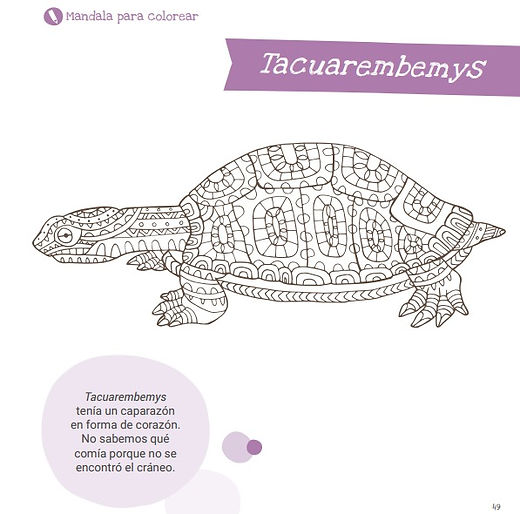 Libro de actividades Dinosaurios