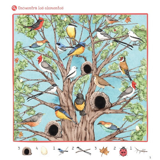 Libro de actividades Conociendo la flora y fauna del Uruguay