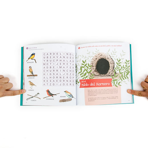 Libro de actividades Conociendo la flora y fauna del Uruguay