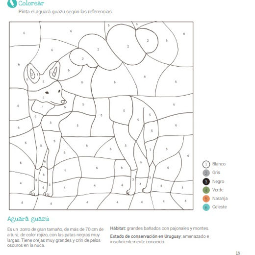 Libro de actividades Conociendo la flora y fauna del Uruguay