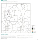 Libro de actividades Conociendo la flora y fauna del Uruguay