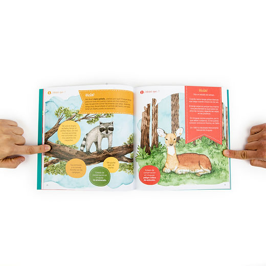 Libro de actividades Conociendo la flora y fauna del Uruguay