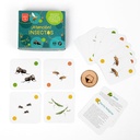 Juego de cartas Atención Insectos