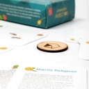 Juego de cartas Atención Insectos